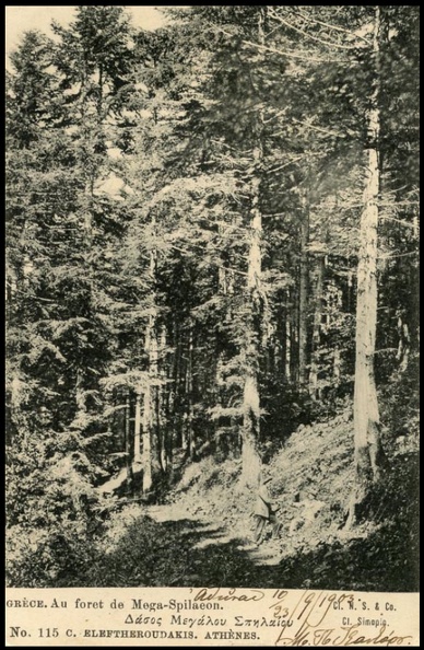 3. Το δάσος τού Μεγάλου Σπηλαίου (η κάρτα είναι ταχυδρομημένη το 1903).jpg