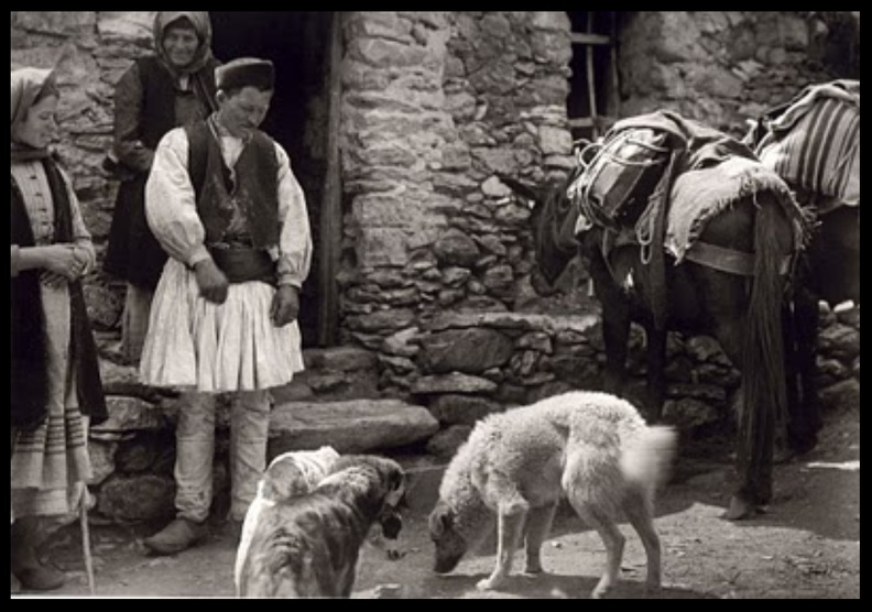 2. Η αγορά στα Καλάβρυτα, 1920 (φωτό Fred Boissonnas).jpg
