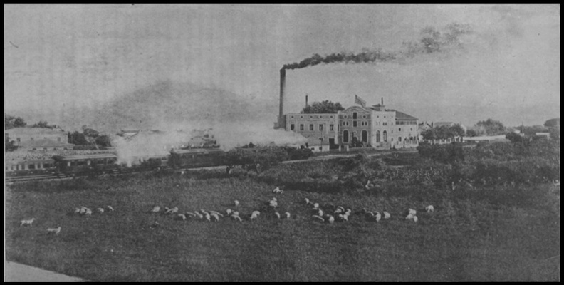 16. Άποψη του εργοστασίου, 1916.jpg