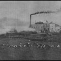 16. Άποψη του εργοστασίου, 1916
