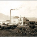 19. Άποψη του εργοστασίου, 1916